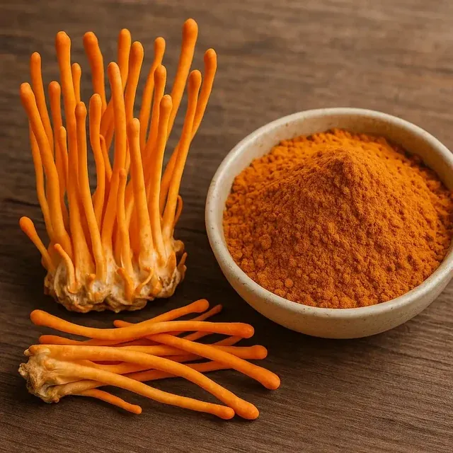 Cordyceps (mushroom fruit extract) shown as raw plant material and powder